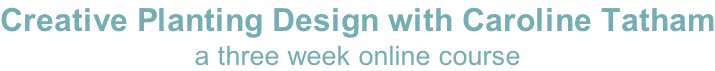 Creative Planting Design with Caroline Tatham a three week online course